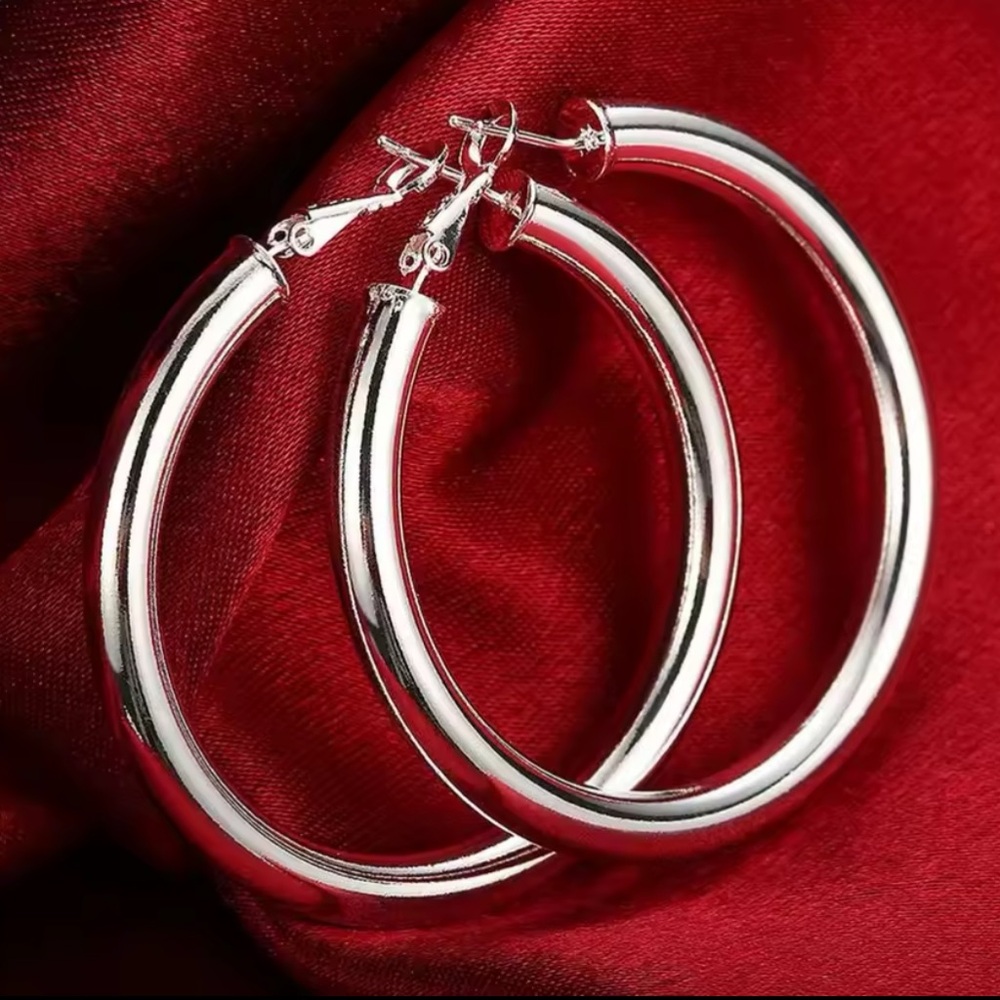 Timeless Silver Hoop Earrings with Hinged Closure - Picture 1 of 1